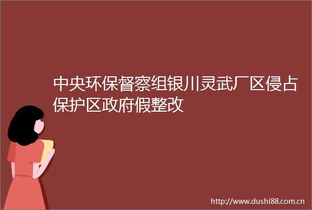 中央环保督察组银川灵武厂区侵占保护区假整改