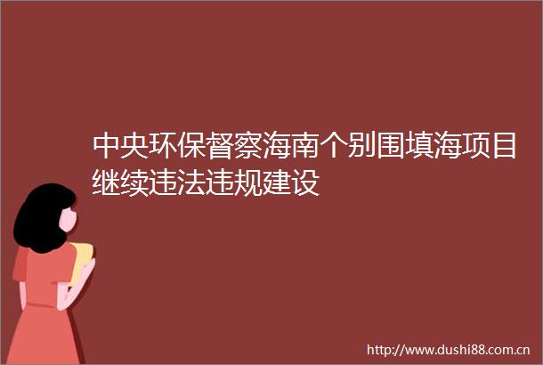 中央环保督察海南个别围填海项目继续建设