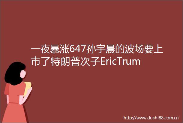 一夜暴涨647孙宇晨的波场要上市了特朗普次子EricTrump将要加入