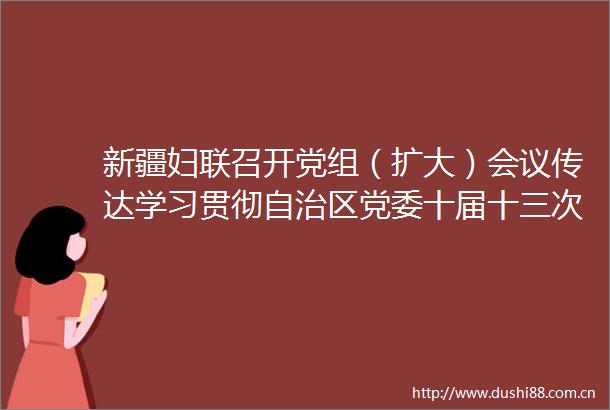 新疆妇联召开党组（扩大）会议传达学习贯彻自治区党委十届十三次全会精神