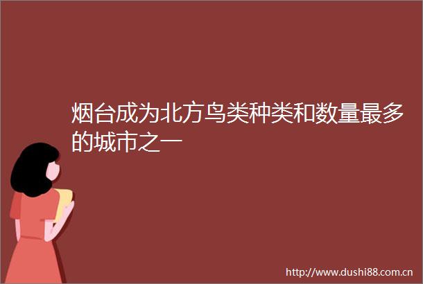 烟台成为北方鸟类种类和数量最多的城市之一