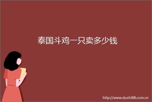 泰国斗鸡一只卖多少钱