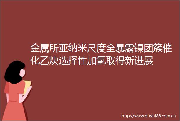 金属所亚纳米尺度全镍团簇催化乙炔选择性加氢取得新进展