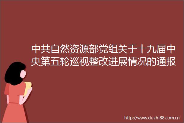 自然资源部党组关于十九届中央第五轮巡视整改进展情况的通报