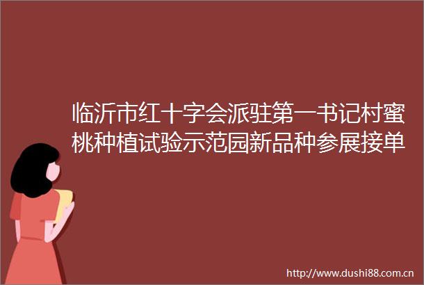 临沂市红十字会派驻第一书记村蜜桃种植试验示范园新品种参展接单破百
