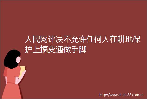 网评决不允许任何人在耕地保护上搞变通做手脚