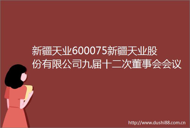 新疆天业600075新疆天业股份有限公司九届十二次董事会会议决议