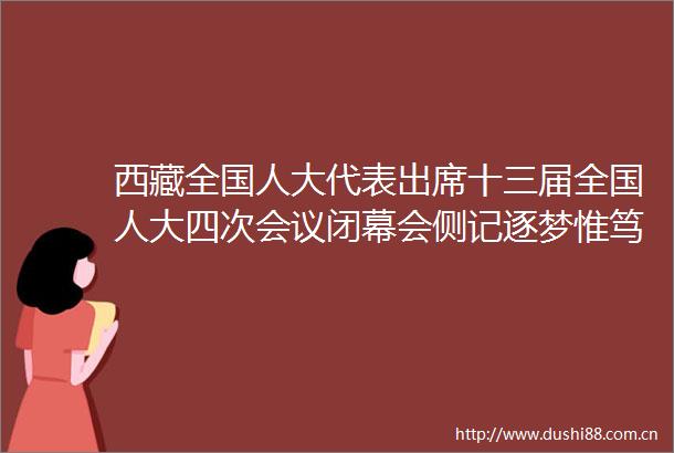 西藏全国人大代表出席十三届全国人大四次会议闭幕会侧记逐梦惟笃行奋进正当时