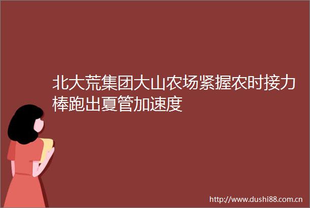 北大荒集团大山农场紧握农时接力棒跑出夏管加速度