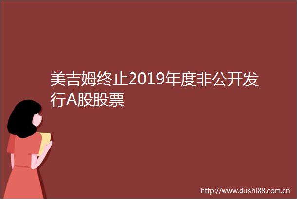美吉姆终止2019年度非公开发行A股股票