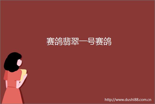 赛鸽翡翠一号赛鸽