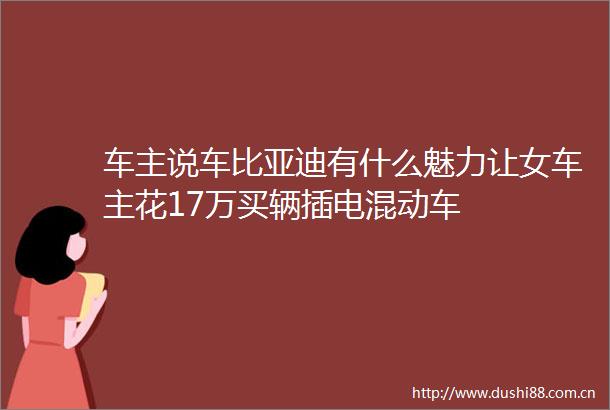 车主说车比亚迪有什么魅力让女车主花17万买辆插电混动车