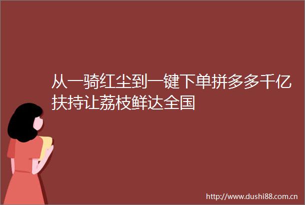从一骑红尘到一键下单拼多多千亿扶持让荔枝鲜达全国