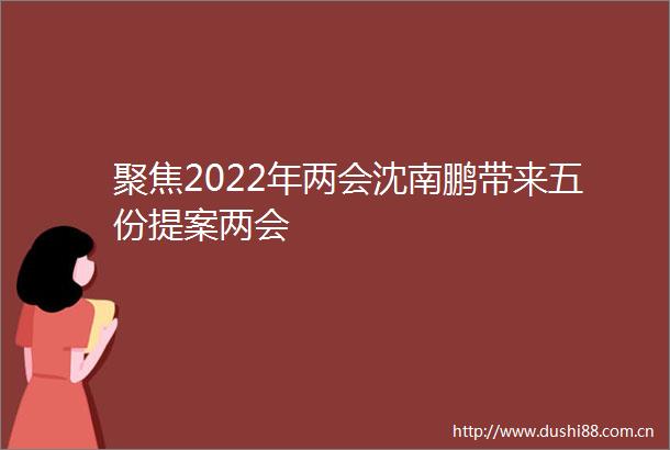 聚焦2022年两会沈南鹏带来五份提案两会