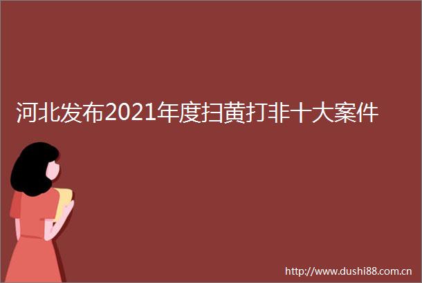 河北发布2021年度打非十大案件