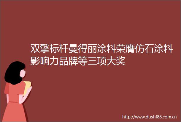 双擎标杆曼得丽涂料荣膺仿石涂料影响力品牌等三项大奖