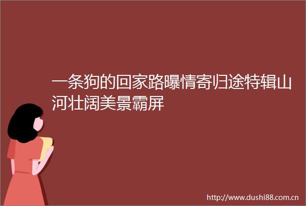 一条狗的回家路曝情寄归途特辑山河壮阔美景霸屏
