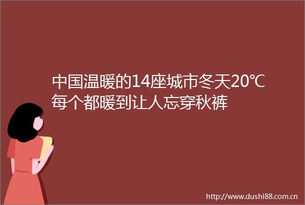 温暖的14座城市冬天20℃每个都暖到让人忘穿秋裤