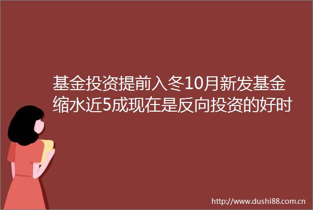 基金投资提前入冬10月新发基金缩水近5成现在是反向投资的好时机吗
