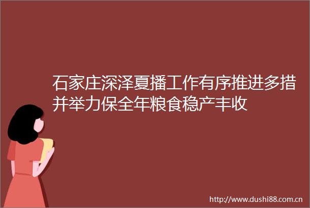 石家庄深泽夏播工作有序推进多措并举力保全年粮食稳产丰收