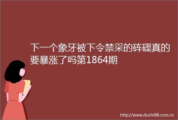 下一个象牙被下令禁采的砗磲真的要暴涨了吗第1864期