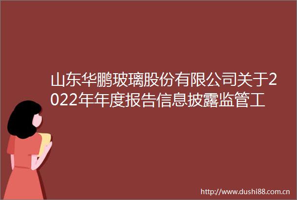 山东华鹏玻璃股份有限公司关于2022年年度报告信息披露监管工作函回复公告