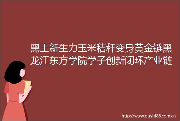 黑土新生力玉米秸秆变身黄金链黑龙江东方学院学子创新闭环产业链助力乡村振兴
