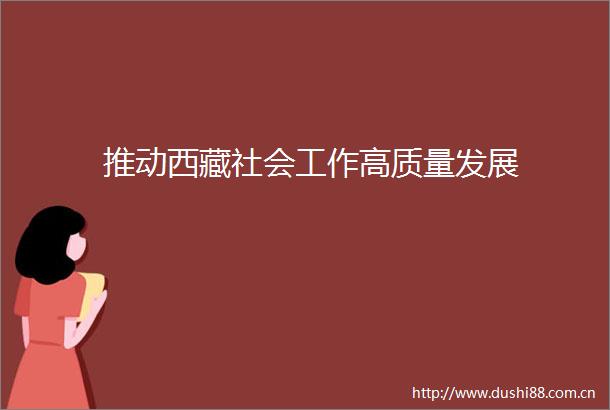 推动西藏社会工作高质量发展