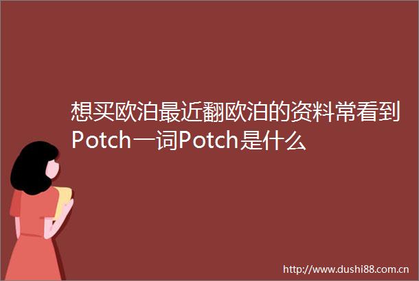 想买欧泊最近翻欧泊的资料常看到Potch一词Potch是什么