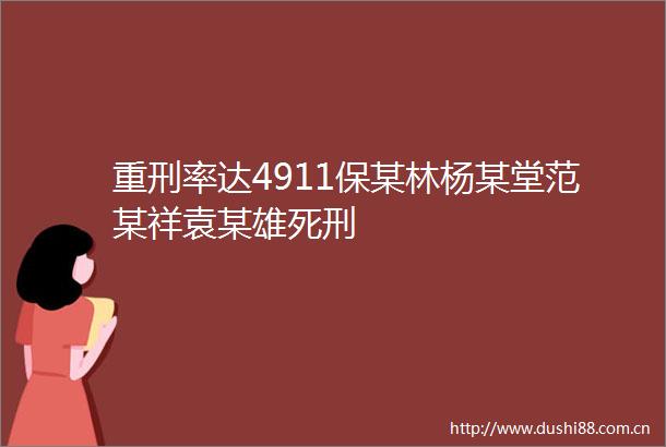 重刑率达4911保某林杨某堂范某祥袁某雄死刑