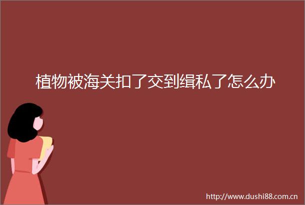 植物被海关扣了交到缉私了怎么办