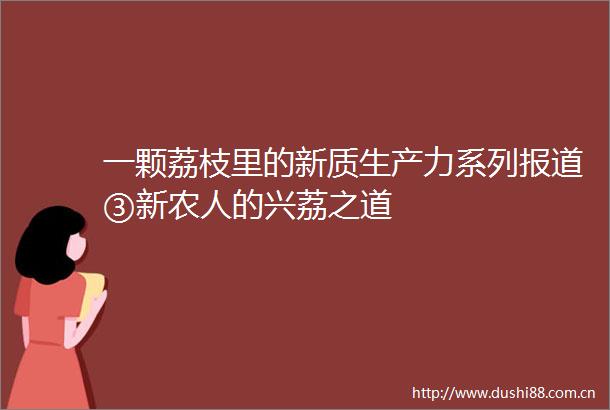 一颗荔枝里的新质生产力系列报道③新农人的兴荔之道