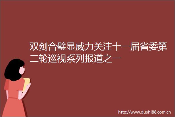 双剑合璧显威力关注十一届省委第二轮巡视系列报道之一