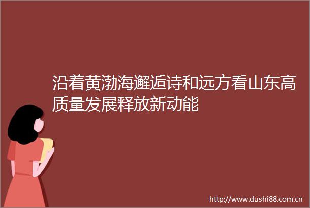 沿着黄渤海邂逅诗和远方看山东高质量发展释放新动能