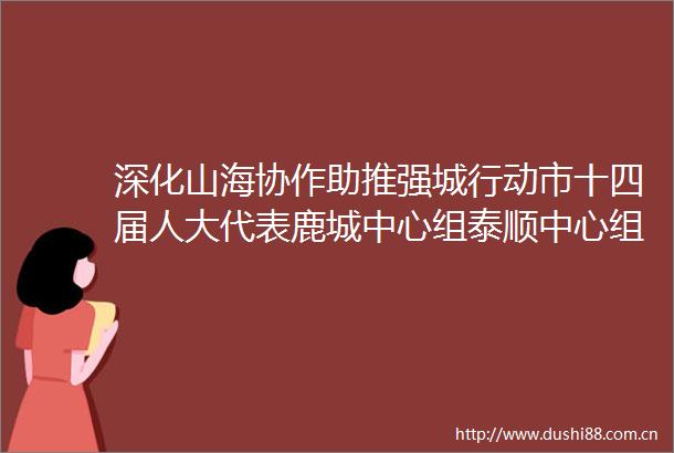 深化山海协作助推强城行动市十四届人大代表鹿城中心组泰顺中心组联合开展视察活动