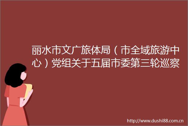 丽水市文广旅体局（市全域旅游中心）党组关于五届市委第三轮巡察整改进展情况的通报