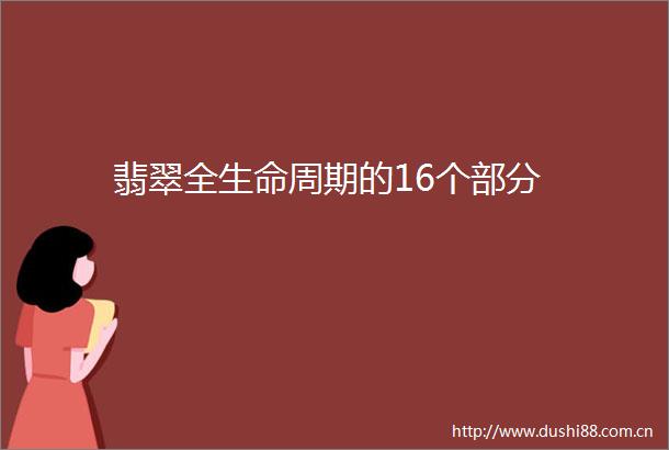 翡翠全生命周期的16个部分
