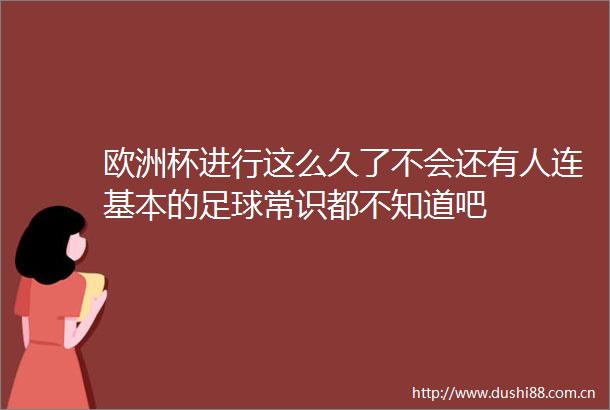 欧洲杯进行这么久了不会还有人连基本的足球常识都不知道吧