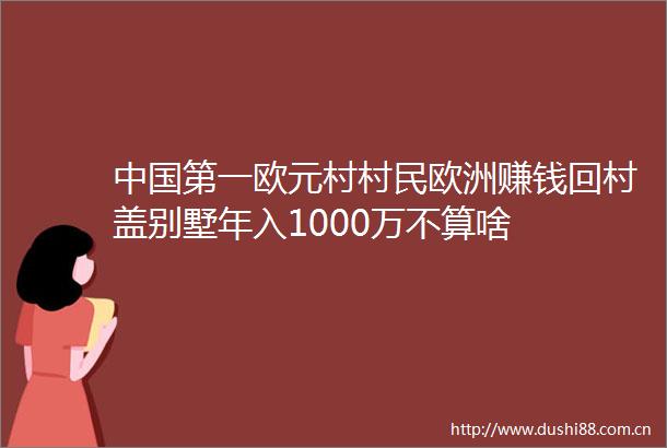 第一欧元村村民欧洲赚钱回村盖别墅年入1000万不算啥