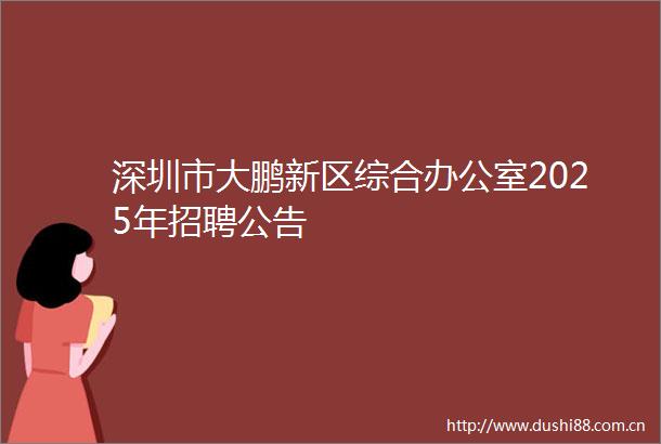 深圳市大鹏新区综合办公室2025年招聘公告