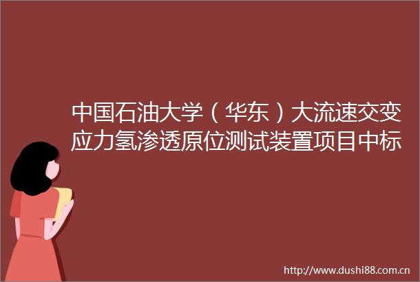 石油大学（华东）大流速交变应力氢渗透原位测试装置项目中标公告