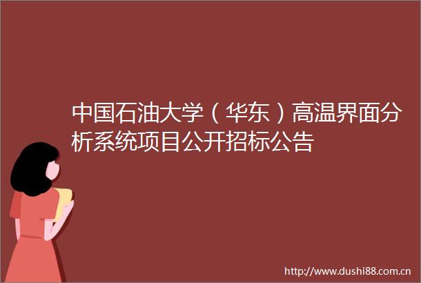 石油大学（华东）高温界面分析系统项目公开招标公告