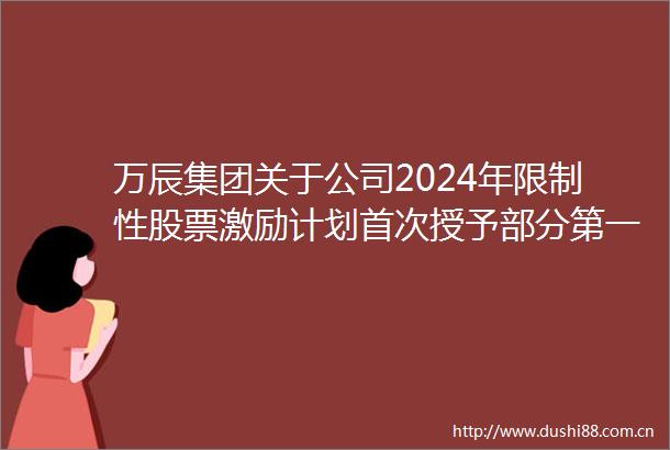 万辰集团关于公司2024年限制性股票激励计划首次授予部分第一个归属期（第一批次）归属条件成就的公告