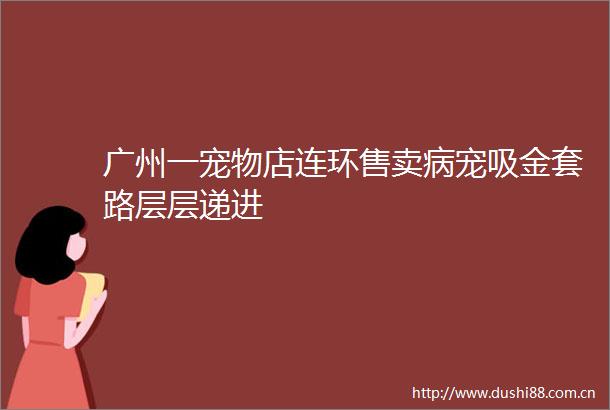 广州一宠物店连环售卖病宠吸金套路层层递进