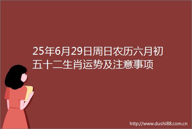 25年6月29日周日农历六月初五十二生肖运势及注意事项