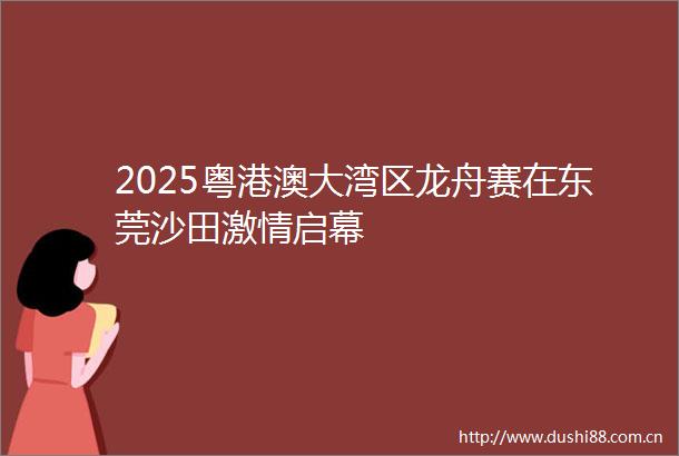 2025粤港澳大湾区龙舟赛在东莞沙田启幕