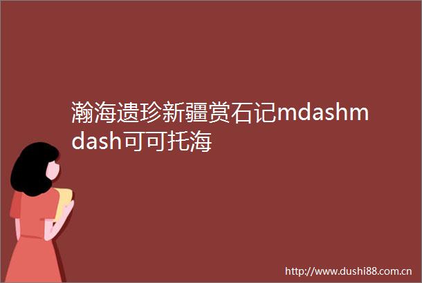 瀚海遗珍新疆赏石记mdashmdash可可托海