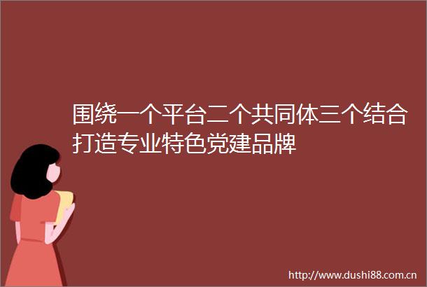 围绕一个平台二个共同体三个结合打造专业特色党建品牌