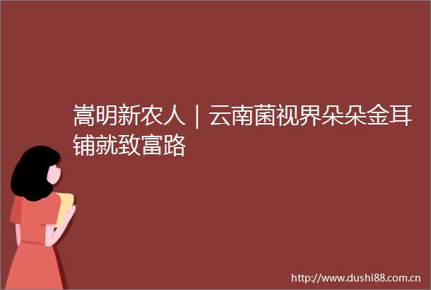 嵩明新农人｜云南菌视界朵朵金耳铺就致富路