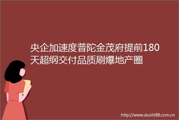 央企加速度普陀金茂府提前180天超纲交付品质刷爆地产圈